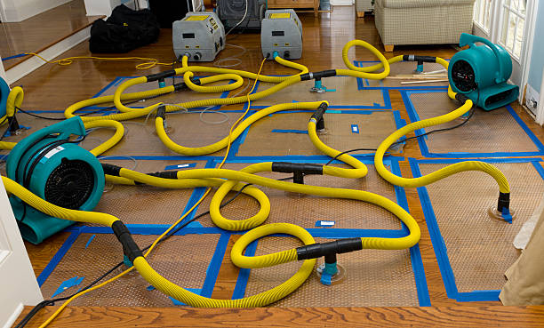 Professional Basement Flood Cleanup technician working in Handley, WV